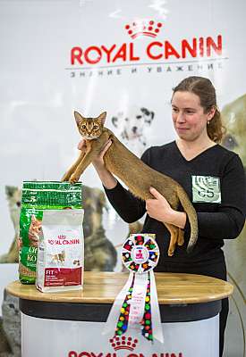 �������� ����� '�������� ���-�����'  5-6 ������ 2014 WCF-����� 9-65-wcf-Young.jpg