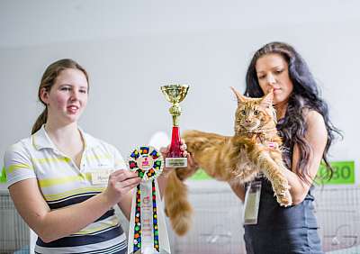 �������� ����� '�������� ���-�����'  5-6 ������ 2014 WCF-����� 1-4-wcf-Young_.jpg