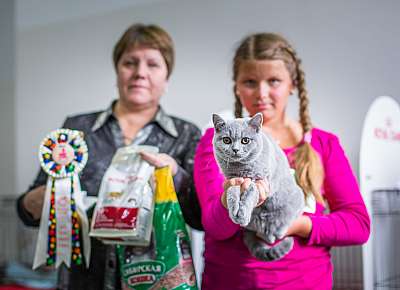 �������� ����� '�������� ���-�����'  5-6 ������ 2014 WCF-����� 2-81-wcf-Young.jpg