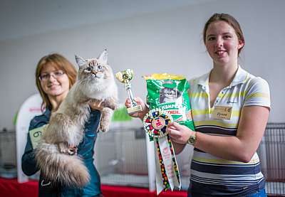 �������� ����� '�������� ���-�����'  5-6 ������ 2014 WCF-����� 5-61-wcf-Young.jpg