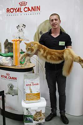 �������� ����� '�������� ���-�����' 10-11 ��� 2014  1-15-169A5035.jpg