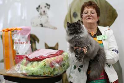 �������� ����� '�������� ���-�����' 10-11 ��� 2014 11-37-169A4909.jpg