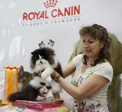 �������� ����� '�������� ���-�����' 10-11 ��� 2014 14-34-169A4826.jpg