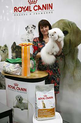 �������� ����� '�������� ���-�����' 10-11 ��� 2014 2-35-169A5025.jpg