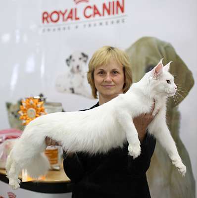 �������� ����� '�������� ���-�����' 10-11 ��� 2014 5-115-169A4946.jpg