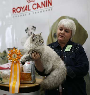 �������� ����� '�������� ���-�����' 10-11 ��� 2014 6-142-169A4959.jpg