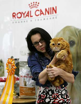 �������� ����� '�������� ���-�����' 10-11 ��� 2014 8-158-169A4991.jpg