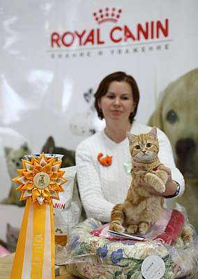 �������� ����� '�������� ���-�����' 10-11 ��� 2014 12-124-169A5946.jpg