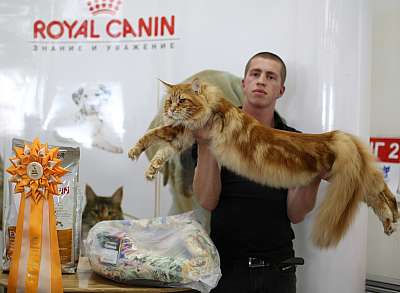 �������� ����� '�������� ���-�����' 10-11 ��� 2014 2-15-169A6011copy.jpg