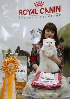 �������� ����� '�������� ���-�����' 10-11 ��� 2014 7-35-169A5974.jpg