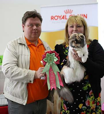 �������� ����� '�������� ���-�����'  10-11 ��� 2014 1-128-169A5907.jpg