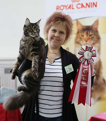 �������� ����� '�������� ���-�����'  10-11 ��� 2014 2-26-169A5178.jpg