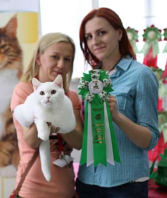 �������� ����� '�������� ���-�����'  10-11 ��� 2014 3-67-169A4321.jpg