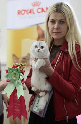 �������� ����� '�������� ���-�����'  10-11 ��� 2014 4-116-169A5893.jpg