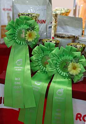 �������� ����� '�������� ���-�����'  10-11 ��� 2014 WCF-����� 169A3766-1.jpg