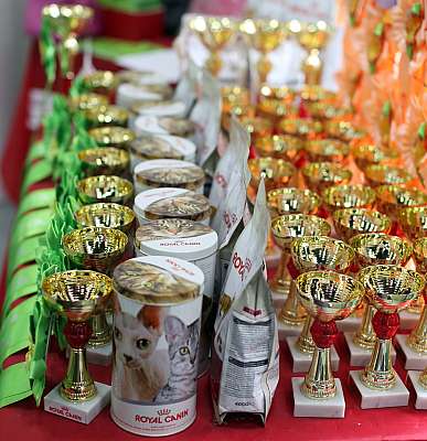 �������� ����� '�������� ���-�����'  10-11 ��� 2014 169A3921_1.jpg