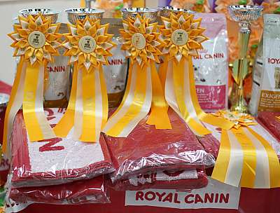 �������� ����� '�������� ���-�����'  10-11 ��� 2014