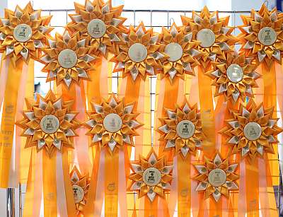 �������� ����� '�������� ���-�����'  10-11 ��� 2014