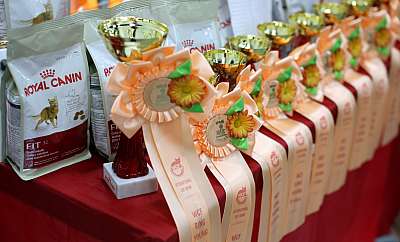 �������� ����� '�������� ���-�����'  10-11 ��� 2014 WCF-����� 169A5768.jpg