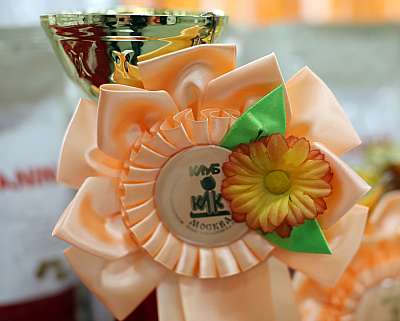 �������� ����� '�������� ���-�����'  10-11 ��� 2014 WCF-����� 169A5769.jpg