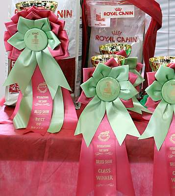 �������� ����� '�������� ���-�����'  10-11 ��� 2014 169A5776-1.jpg