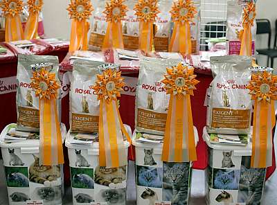 �������� ����� '�������� ���-�����'  10-11 ��� 2014