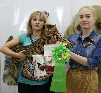 �������� ����� '�������� ���-�����'  10-11 ��� 2014 WCF-����� 3-121-169A4130copy.jpg