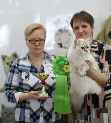 �������� ����� '�������� ���-�����'  10-11 ��� 2014 WCF-����� 6-39-169A4187.jpg