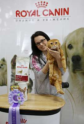 �������� ����� '�������� ���-�����'  10-11 ��� 2014 WCF-����� 10-158-169A5545.jpg