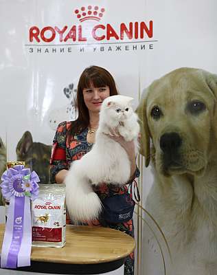 �������� ����� '�������� ���-�����'  10-11 ��� 2014 WCF-����� 2-35-169A5592.jpg