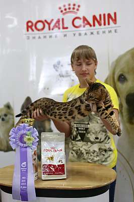 �������� ����� '�������� ���-�����'  10-11 ��� 2014 WCF-����� 3-121-169A5579.jpg