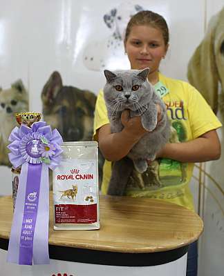 �������� ����� '�������� ���-�����'  10-11 ��� 2014 WCF-����� 4-129-169A5574.jpg