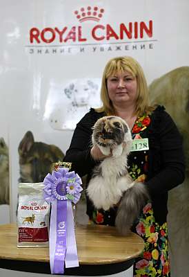 �������� ����� '�������� ���-�����'  10-11 ��� 2014 WCF-����� 8-128-169A5555.jpg