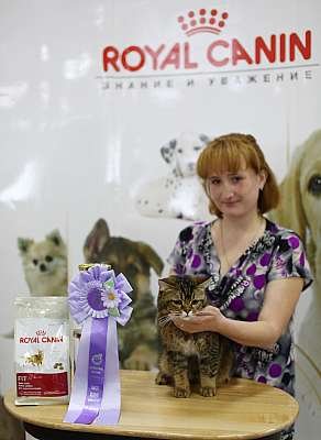 �������� ����� '�������� ���-�����'  10-11 ��� 2014 WCF-����� 9-86-169A5551.jpg