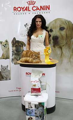 �������� ����� '�������� ���-�����'  10-11 ��� 2014 WCF-����� 1-9-169A4780.jpg