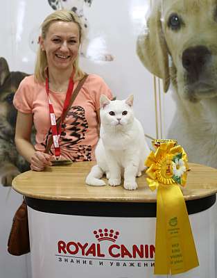 �������� ����� '�������� ���-�����'  10-11 ��� 2014 WCF-����� 2-67-169A4752.jpg