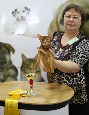 �������� ����� '�������� ���-�����'  10-11 ��� 2014 WCF-����� 4-135-169A4722.jpg