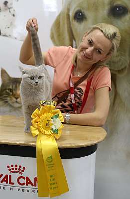 �������� ����� '�������� ���-�����'  10-11 ��� 2014 WCF-����� 6-52-169A4769.jpg