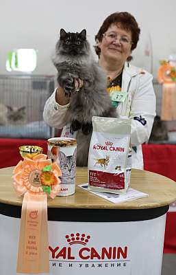 �������� ����� '�������� ���-�����'  10-11 ��� 2014 WCF-����� 2-37-169A5787.jpg