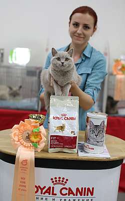 �������� ����� '�������� ���-�����'  10-11 ��� 2014 WCF-����� 3-52-169A5785.jpg