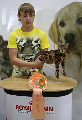 �������� ����� '�������� ���-�����'  10-11 ��� 2014 WCF-����� 5-110-169A5803.jpg