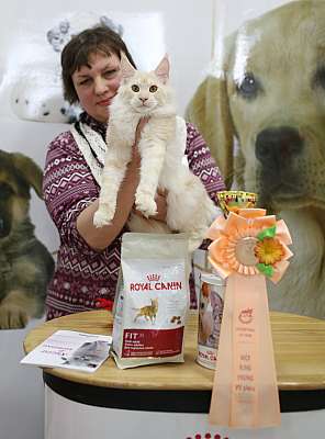 �������� ����� '�������� ���-�����'  10-11 ��� 2014 WCF-����� 7-105-169A5819.jpg