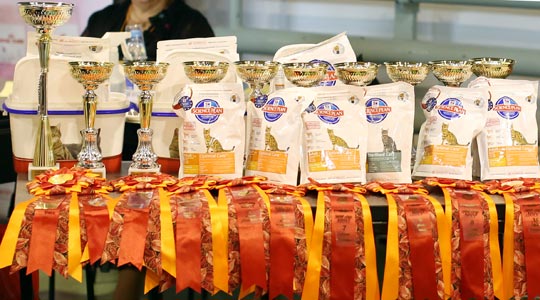 �������� ����� '���-�����-��������' 20-21 �������� 2014 169A0877 copy.jpg