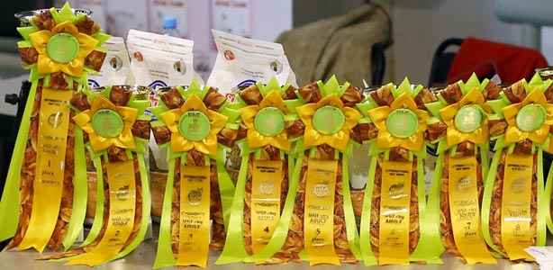 �������� ����� 20-21 �������� 2014 WCF-����� 169A2294-copy.jpg