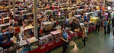 �������� ����� '���-�����-��������' 20-21 �������� 2014 n20140920_132012.jpg