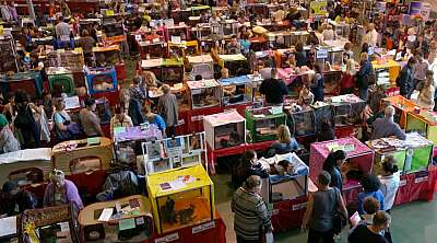 �������� ����� '���-�����-��������' 20-21 �������� 2014 n20140920_132053.jpg