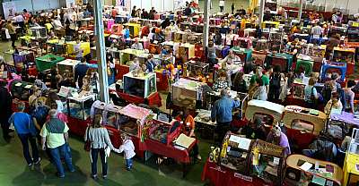 �������� ����� '���-�����-��������' 20-21 �������� 2014 n20140920_132059.jpg