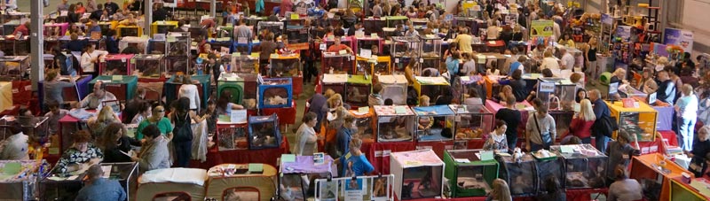 �������� ����� '���-�����-��������' 20-21 �������� 2014 n20140920_132141.jpg