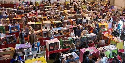 �������� ����� '���-�����-��������' 20-21 �������� 2014 n20140920_132153.jpg