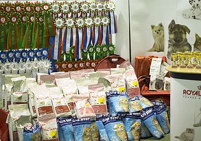 �������� ����� '���-�����-�������' 18-19 ������� 2014